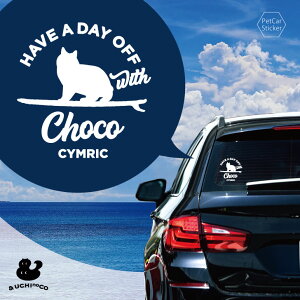 y X[p[SALEԒ P10{ z fUC J[XebJ[ y LbN z  XebJ[ V[ ybg v[g LO 蕨 JbeBOV[g I[_[Ch A KX  