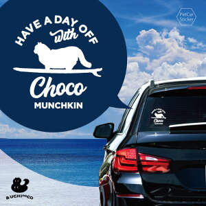 y X[p[SALEԒ P10{ z fUC J[XebJ[ y }`J z  XebJ[ V[ ybg v[g LO 蕨 JbeBOV[g I[_[Ch A KX  