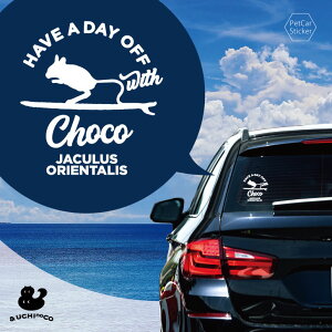 y }\ P5{ z fUC J[XebJ[ y II~rgrlY~ z  XebJ[ V[ ybg v[g LO 蕨 JbeBOV[g I[_[Ch A KX 