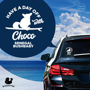 fUC J[XebJ[ y VEKS z  XebJ[ V[ ybg v[g LO 蕨 JbeBOV[g I[_[Ch A KX   Vv 킢