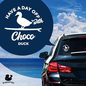 fUC J[XebJ[ y Aq z  XebJ[ V[ ybg v[g LO 蕨 JbeBOV[g I[_[Ch A KX   Vv 킢 C