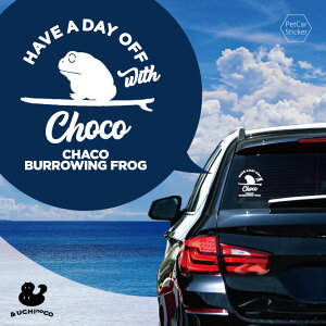 y X[p[SALEԒ P10{ z fUC J[XebJ[ y `RKG z  XebJ[ V[ ybg v[g LO 蕨 JbeBOV[g I[_[Ch A KX  