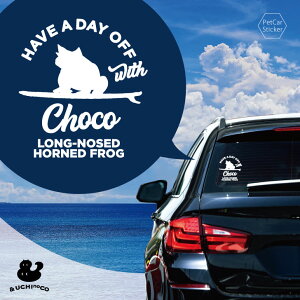 y X[p[SALEԒ P10{ z fUC J[XebJ[ y ~cdmRmnKG z  XebJ[ V[ ybg v[g LO 蕨 JbeBOV[g I[_[Ch A KX 