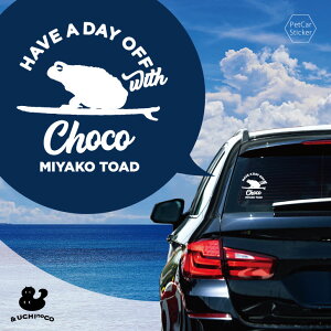 y X[p[SALEԒ P10{ z fUC J[XebJ[ y ~RqLKG z  XebJ[ V[ ybg v[g LO 蕨 JbeBOV[g I[_[Ch A KX 