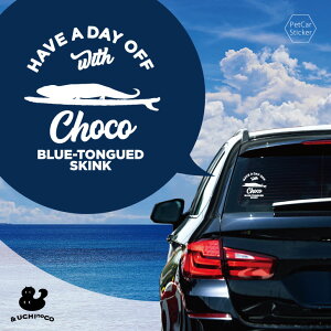 y X[p[SALEԒ P10{ z fUC J[XebJ[ y AIW^gJQ z  XebJ[ V[ ybg v[g LO 蕨 JbeBOV[g I[_[Ch A KX 