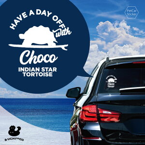 y X[p[SALEԒ P10{ z fUC J[XebJ[ y ChzVK z  XebJ[ V[ ybg v[g LO 蕨 JbeBOV[g I[_[Ch A KX 