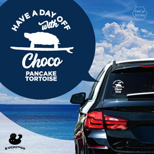 y }\ P5{ zfUC J[XebJ[ y pP[LNK z  XebJ[ V[ ybg v[g LO 蕨 JbeBOV[g I[_[Ch A KX  