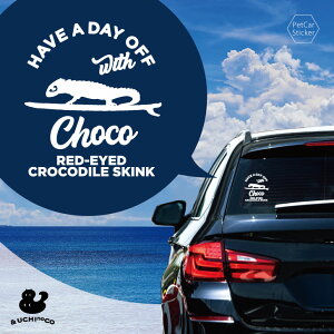 y X[p[SALEԒ P10{ z fUC J[XebJ[ y AJJuggJQ z  XebJ[ V[ ybg v[g LO 蕨 JbeBOV[g I[_[Ch A KX 