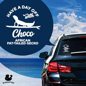 fUC J[XebJ[ y jVAtJgJQhL z  XebJ[ V[ ybg v[g LO 蕨 JbeBOV[g I[_[Ch A KX   V