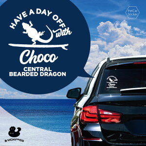 y X[p[SALEԒ P10{ z fUC J[XebJ[ y tgASqQgJQ2 z  XebJ[ V[ ybg v[g LO 蕨 JbeBOV[g I[_[Ch A KX 