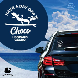 y X[p[SALEԒ P10{ z fUC J[XebJ[ y Ip[hQbR[3 z  XebJ[ V[ ybg v[g LO 蕨 JbeBOV[g I[_[Ch A KX 