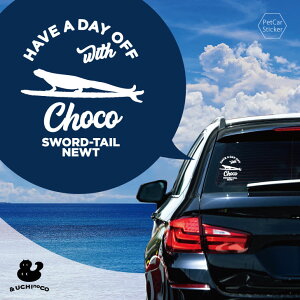 y X[p[SALEԒ P10{ z fUC J[XebJ[ y VPC z  XebJ[ V[ ybg v[g LO 蕨 JbeBOV[g I[_[Ch A KX 