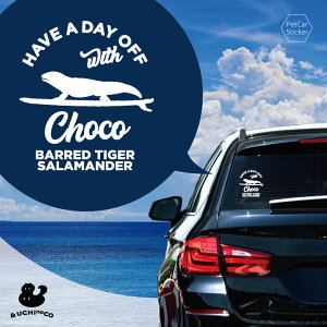 y X[p[SALEԒ P10{ z fUC J[XebJ[ y Ir^CK[T}_[ z  XebJ[ V[ ybg v[g LO 蕨 JbeBOV[g I[_[Ch A K