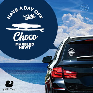 y X[p[SALEԒ P10{ z fUC J[XebJ[ y }_C z  XebJ[ V[ ybg v[g LO 蕨 JbeBOV[g I[_[Ch A KX  