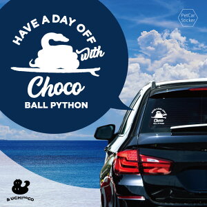 y }\ P5{ zfUC J[XebJ[ y {[pC\ z  XebJ[ V[ ybg v[g LO 蕨 JbeBOV[g I[_[Ch A KX  