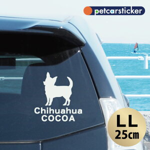  XebJ[ y ` X[X zyLLz 킢 Vv J[XebJ[ JbeBOV[g ObY v[g  I[_[Ch O V[  ]ʎ 