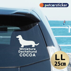 y BLACK FRIDAY P5{ z  XebJ[ y ~j`A_bNXth zyLLz 킢 Vv J[XebJ[ JbeBOV[g ObY v[g  I[_[Ch O V[