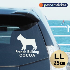  XebJ[ y t`uhbO zyLLz 킢 Vv J[XebJ[ JbeBOV[g ObY v[g  I[_[Ch O V[  ]ʎ 