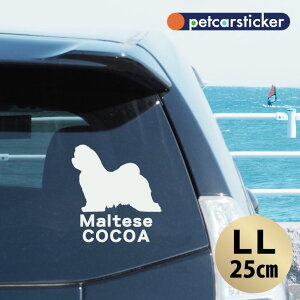  XebJ[ y }`[Y zyLLz 킢 Vv J[XebJ[ JbeBOV[g ObY v[g  I[_[Ch O V[  ]ʎ 