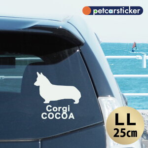  XebJ[ y R[M[ zyLLz 킢 Vv J[XebJ[ JbeBOV[g ObY v[g  I[_[Ch O V[  ]ʎ 