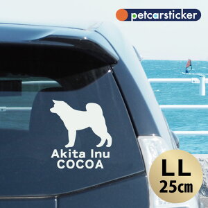  XebJ[ y Hc zyLLz 킢 Vv J[XebJ[ JbeBOV[g ObY v[g  I[_[Ch O V[  ]ʎ 