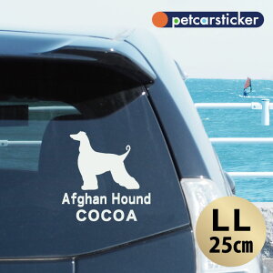  XebJ[ y AtKnEh zyLLz 킢 Vv J[XebJ[ JbeBOV[g ObY v[g  I[_[Ch O V[  ]ʎ 