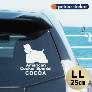 y }\ P5{ z XebJ[ y AJRbJ[XpjG zyLLz 킢 Vv J[XebJ[ JbeBOV[g ObY v[g  I[_[Ch O V