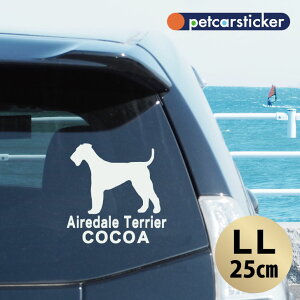  XebJ[ y GAf[eA zyLLz 킢 Vv J[XebJ[ JbeBOV[g ObY v[g  I[_[Ch O V[  ]ʎ 