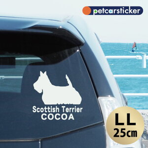  XebJ[ y XReBbVeA zyLLz 킢 Vv J[XebJ[ JbeBOV[g ObY v[g  I[_[Ch O V[  ]ʎ 