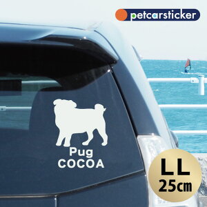  XebJ[ y pO zyLLz 킢 Vv J[XebJ[ JbeBOV[g ObY v[g  I[_[Ch O V[  ]ʎ 