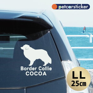  XebJ[ y {[_[R[ zyLLz 킢 Vv J[XebJ[ JbeBOV[g ObY v[g  I[_[Ch O V[  ]ʎ 