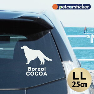  XebJ[ y {]C zyLLz 킢 Vv J[XebJ[ JbeBOV[g ObY v[g  I[_[Ch O V[  ]ʎ 