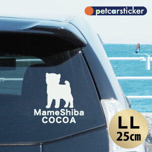  XebJ[ y  zyLLz 킢 Vv J[XebJ[ JbeBOV[g ObY v[g  I[_[Ch O V[  ]ʎ 