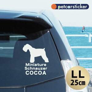 y }\ P5{ z XebJ[ y ~j`AViEU[ zyLLz 킢 Vv J[XebJ[ JbeBOV[g ObY v[g  I[_[Ch O V[ 