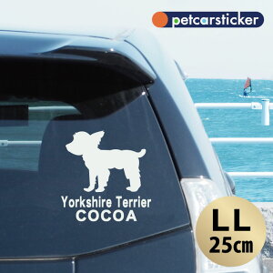 y }\ P5{ z XebJ[ y [NV[eA ps[Jbg zyLLz 킢 Vv J[XebJ[ JbeBOV[g ObY v[g  I[_[Ch O 