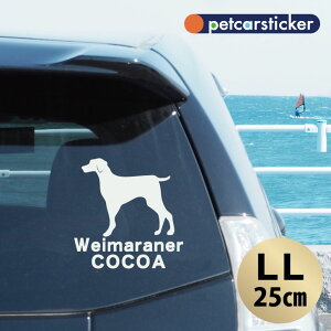  XebJ[ y C}i[ zyLLz 킢 Vv J[XebJ[ JbeBOV[g ObY v[g  I[_[Ch O V[  ]ʎ 