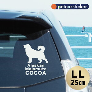 y }\ P5{ z XebJ[ y AXJ}~[g zyLLz 킢 Vv J[XebJ[ JbeBOV[g ObY v[g  I[_[Ch O V[ 