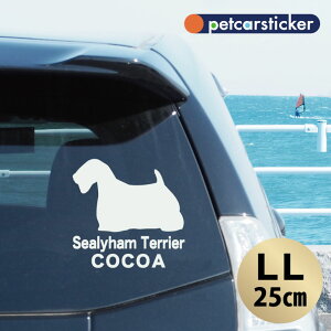 y }\ P5{ z XebJ[ y V[neA zyLLz 킢 Vv J[XebJ[ JbeBOV[g ObY v[g  I[_[Ch O V[  