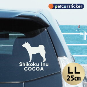  XebJ[ y l zyLLz 킢 Vv J[XebJ[ JbeBOV[g ObY v[g  I[_[Ch O V[  ]ʎ 