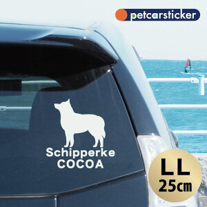  XebJ[ y XLbp[L zyLLz 킢 Vv J[XebJ[ JbeBOV[g ObY v[g  I[_[Ch O V[  ]ʎ 