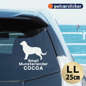  XebJ[ y X[~X^[_[ zyLLz 킢 Vv J[XebJ[ JbeBOV[g ObY v[g  I[_[Ch O V[  ]ʎ 