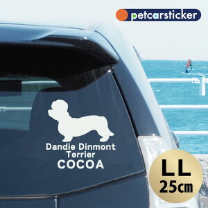 y }\ P5{ z XebJ[ y _fBfBgeA zyLLz 킢 Vv J[XebJ[ JbeBOV[g ObY v[g  I[_[Ch O V[