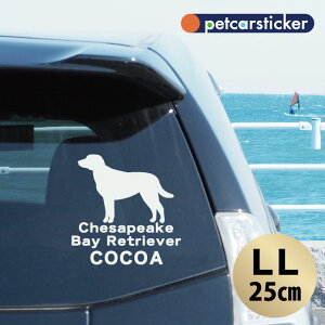  XebJ[ y `FTs[NxCg[o[ zyLLz 킢 Vv J[XebJ[ JbeBOV[g ObY v[g  I[_[Ch O V[  ]ʎ 