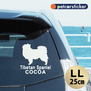 y }\ P5{ z XebJ[ y `x^XpjG zyLLz 킢 Vv J[XebJ[ JbeBOV[g ObY v[g  I[_[Ch O V[ 