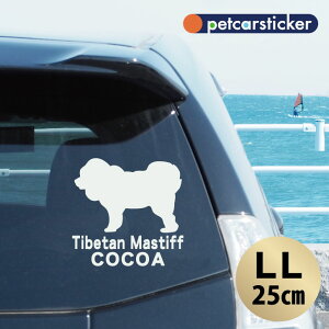  XebJ[ y `x^}XeBt zyLLz 킢 Vv J[XebJ[ JbeBOV[g ObY v[g  I[_[Ch O V[  ]ʎ 