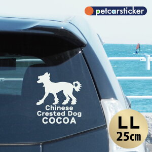  XebJ[ y `Cj[YNXebhhbO zyLLz 킢 Vv J[XebJ[ JbeBOV[g ObY v[g  I[_[Ch O V[  ]ʎ 