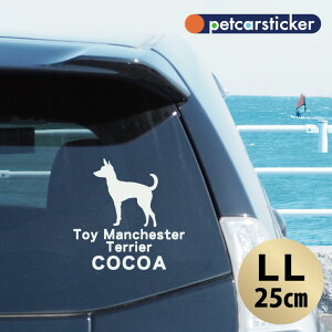  XebJ[ y gC}`FX^[eA zyLLz 킢 Vv J[XebJ[ JbeBOV[g ObY v[g  I[_[Ch O V[  ]ʎ 