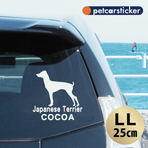 y }\ P5{ z XebJ[ y {eA zyLLz 킢 Vv J[XebJ[ JbeBOV[g ObY v[g  I[_[Ch O V[  ]ʎ 