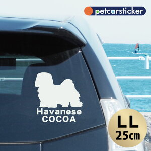  XebJ[ y noj[Y zyLLz 킢 Vv J[XebJ[ JbeBOV[g ObY v[g  I[_[Ch O V[  ]ʎ 