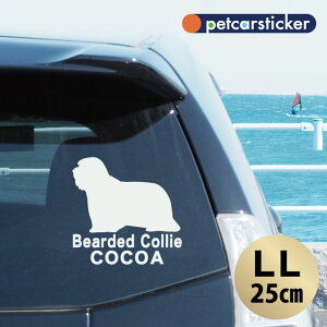  XebJ[ y rAfbhR[ zyLLz 킢 Vv J[XebJ[ JbeBOV[g ObY v[g  I[_[Ch O V[  ]ʎ 